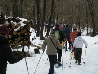  Marcha nórdica con raquetas de nieve 